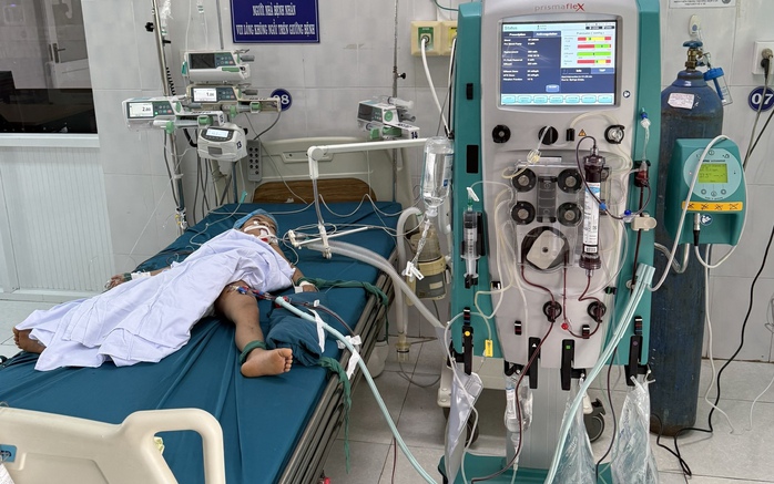 Gia Lai: Bị ong vò vẽ tấn công, 3 cháu …