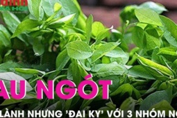 Nấu canh rau ngót đúng cách