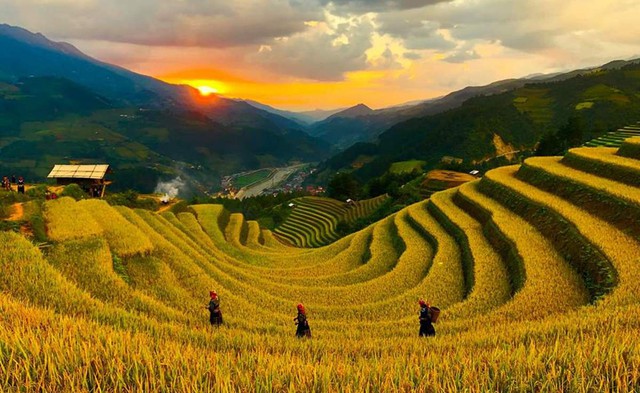 Ngọn đồi ở Mù Cang Chải là điểm ngắm mù…
